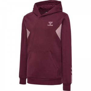 Hummel Active Co Dječje Majica s Kapuljačom Bordo | 400458-821