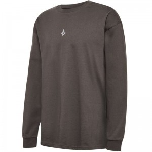 Hummel Astralis 24 Fan 2016 Loose Ls Muške Majice Čokoladne | 524429-734