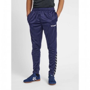Hummel Authentic Training Muške Hlače Tamnoplave | 632866-668