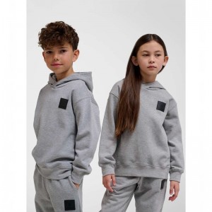 Hummel Clean Dječje Majica s Kapuljačom Sive | 946551-118