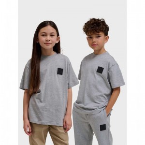 Hummel Clean S/S Dječje Majice Sive | 346820-279