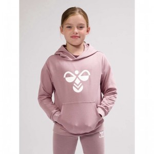 Hummel Cuatro Dječje Majica s Kapuljačom Roze | 166453-629
