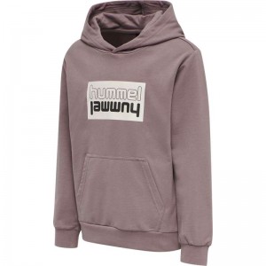 Hummel Duo Dječje Majica s Kapuljačom Roze | 809610-186
