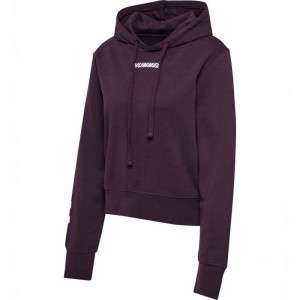 Hummel Elemental Short Ženske Majica s Kapuljačom Ljubičaste | 620368-651