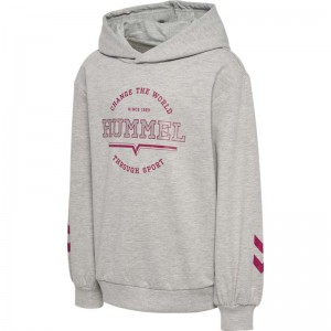 Hummel Elena Dječje Majica s Kapuljačom Sive | 425188-029