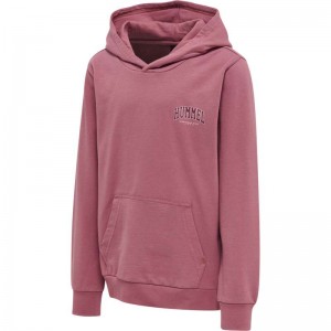 Hummel Fast Dječje Majica s Kapuljačom Roze | 453115-119