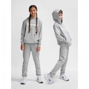 Hummel Go 2.0 Logo Dječje Majica s Kapuljačom Sive | 450375-960