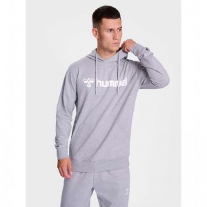 Hummel Go 2.0 Logo Muške Majica s Kapuljačom Sive | 338927-399