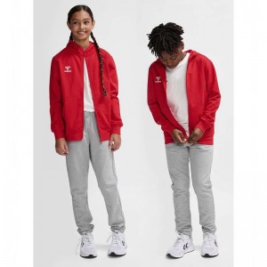 Hummel Go 2.0 Zip Dječje Majica s Kapuljačom Crvene | 131047-436