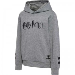 Hummel Harry Potter Dječje Majica s Kapuljačom Sive | 414645-013