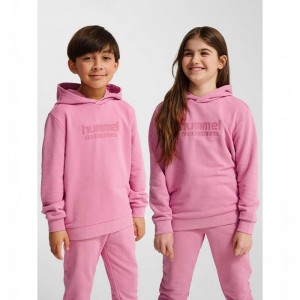 Hummel Jr Base Dječje Majica s Kapuljačom Roze | 547576-580