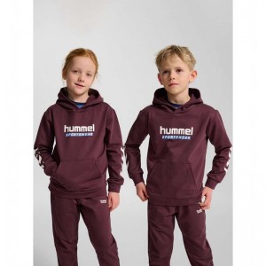 Hummel Jr Logo Dječje Majica s Kapuljačom Bordo | 759227-359