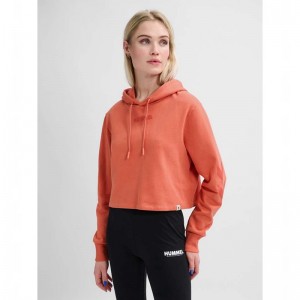 Hummel Legacy Cropped Ženske Majica s Kapuljačom Boje Marelice | 441114-379