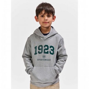 Hummel Nipps Dječje Majica s Kapuljačom Sive | 748617-625