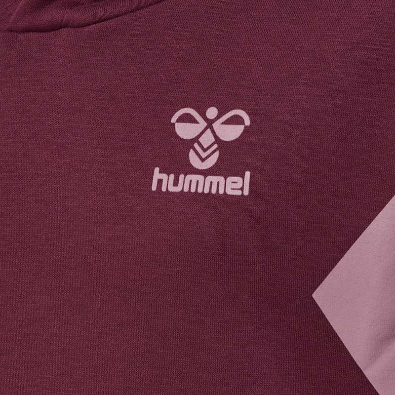 Hummel Active Co Dječje Majica s Kapuljačom Bordo | 400458-821