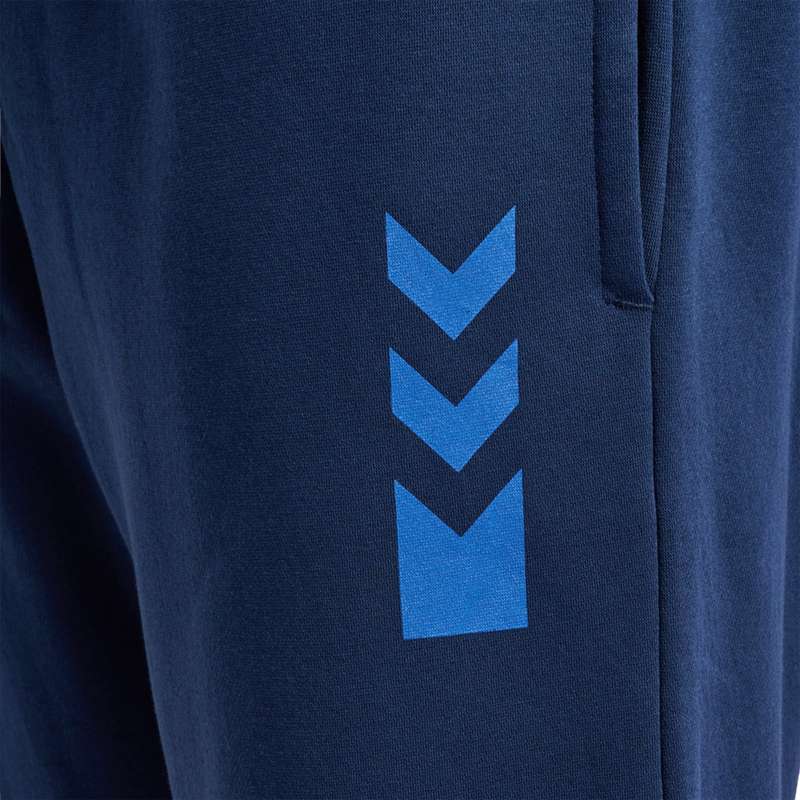Hummel Active Muške Donji dio Trenirke Tamnoplave | 818376-281