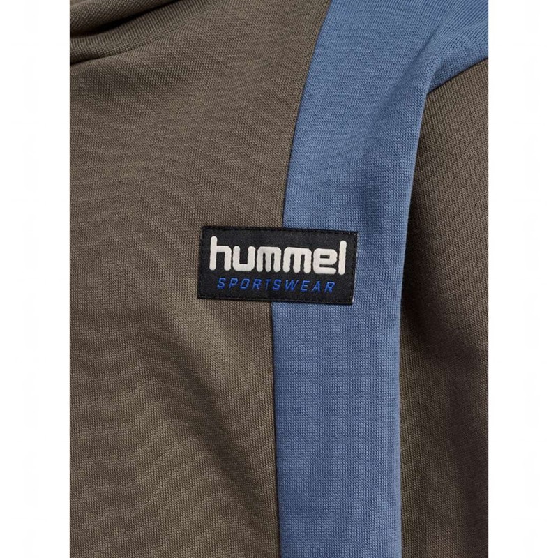 Hummel Allton Dječje Majica s Kapuljačom Smeđe | 730977-679