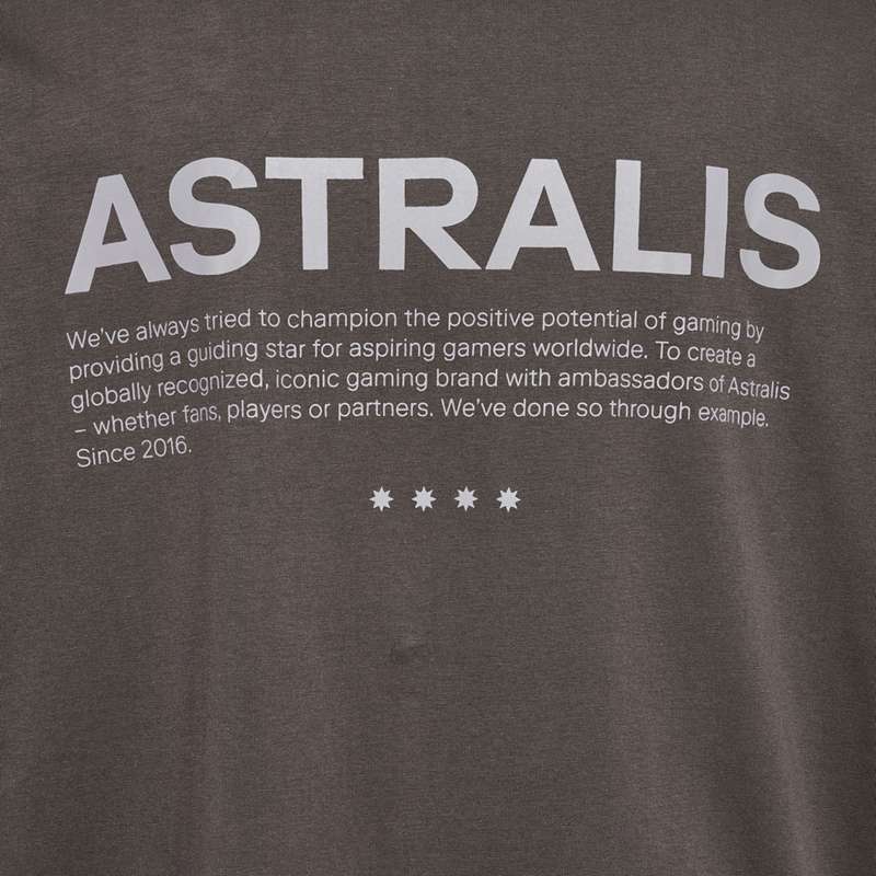 Hummel Astralis 24 Fan 2016 Loose Ls Muške Majice Čokoladne | 524429-734