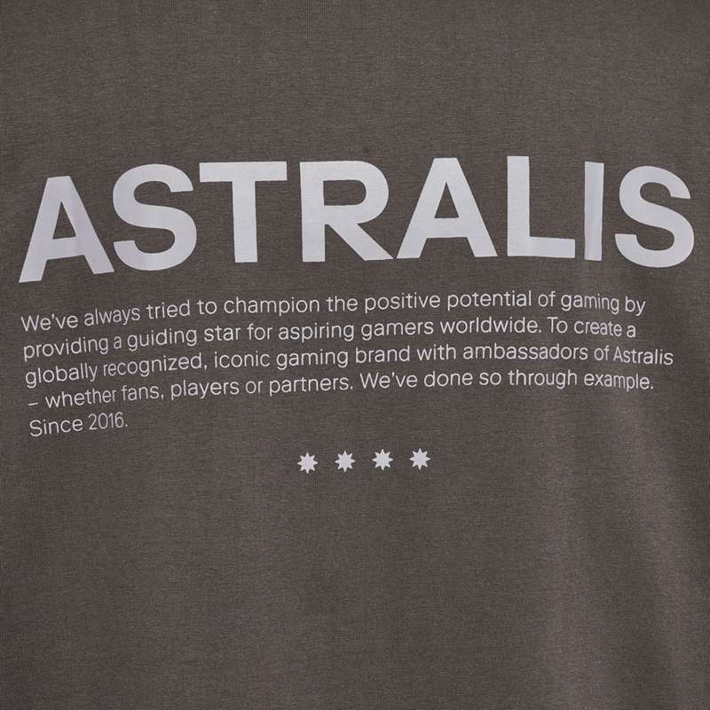 Hummel Astralis 24 Fan 2016 Loose Ss Muške Majice Čokoladne | 885490-653