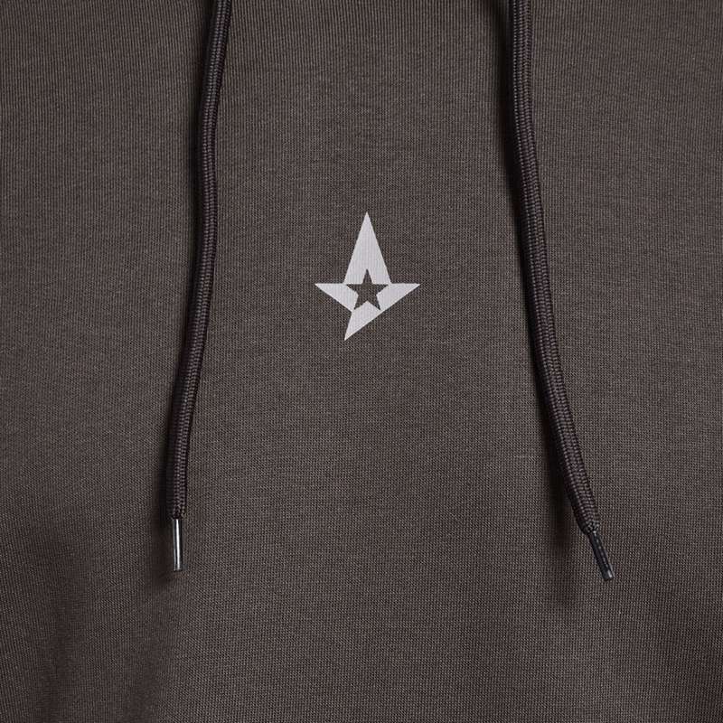 Hummel Astralis 24 Fan Loose Muške Polo Majice Čokoladne | 346501-211