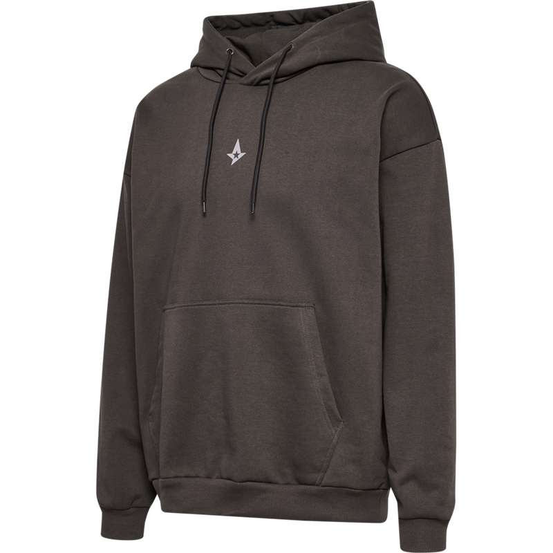 Hummel Astralis 24 Fan Loose Muške Polo Majice Čokoladne | 346501-211