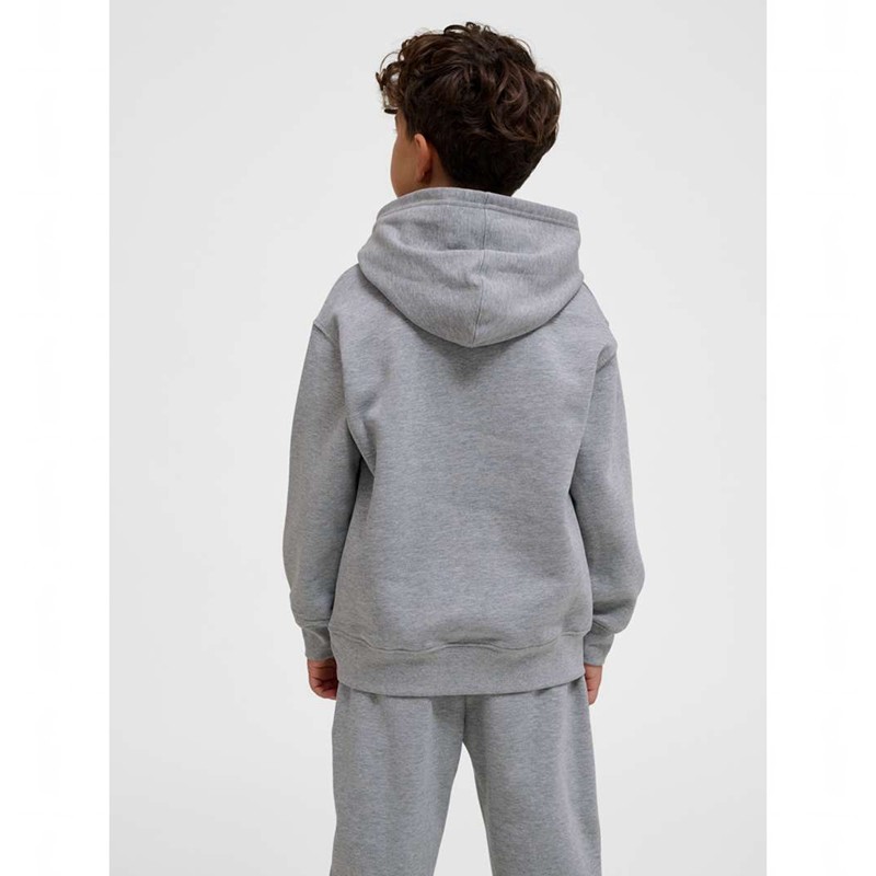 Hummel Clean Dječje Majica s Kapuljačom Sive | 946551-118