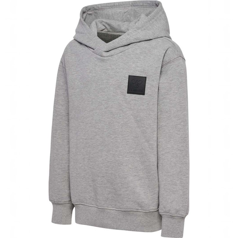 Hummel Clean Dječje Majica s Kapuljačom Sive | 946551-118