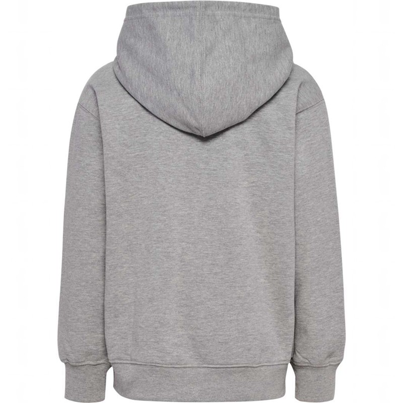 Hummel Clean Dječje Majica s Kapuljačom Sive | 946551-118