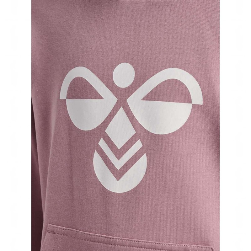 Hummel Cuatro Dječje Majica s Kapuljačom Roze | 166453-629