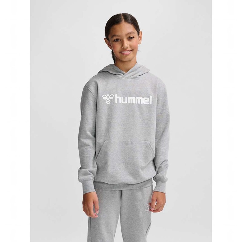 Hummel Go 2.0 Logo Dječje Majica s Kapuljačom Sive | 450375-960