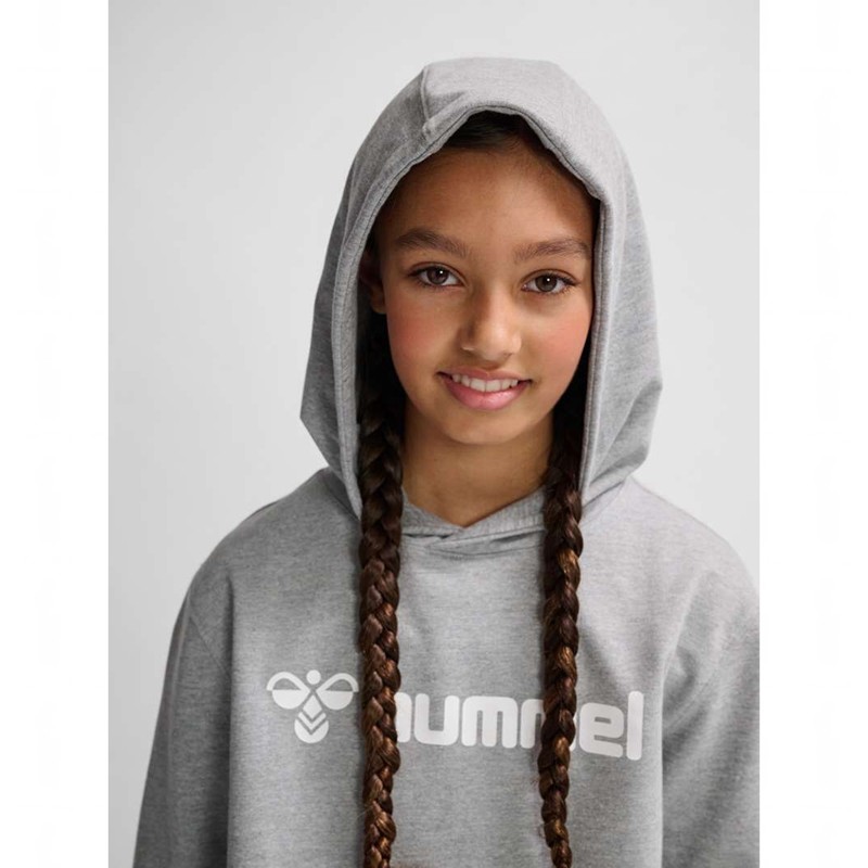 Hummel Go 2.0 Logo Dječje Majica s Kapuljačom Sive | 450375-960