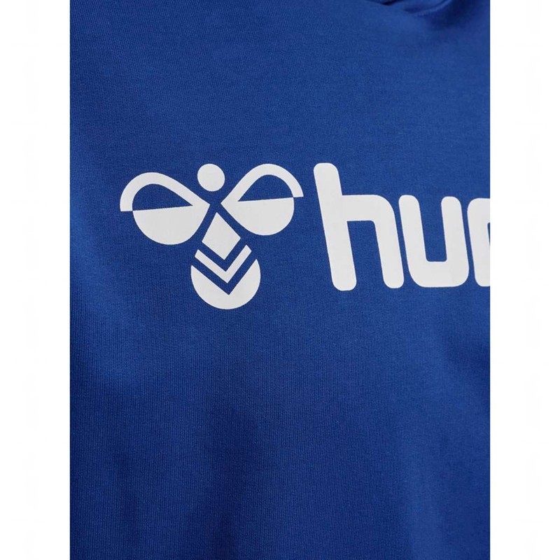 Hummel Go 2.0 Logo Muške Majica s Kapuljačom Plave | 105161-757