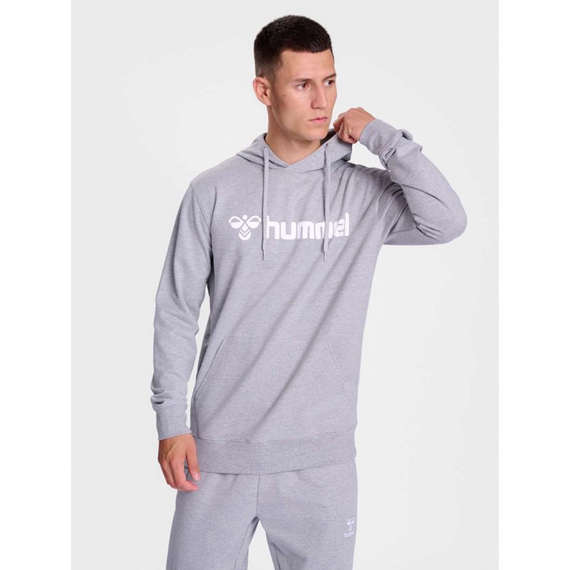 Hummel Go 2.0 Logo Muške Majica s Kapuljačom Sive | 338927-399
