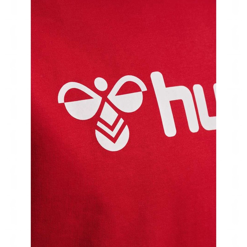 Hummel Go 2.0 Logo Muške Majica s Kapuljačom Crvene | 625647-029