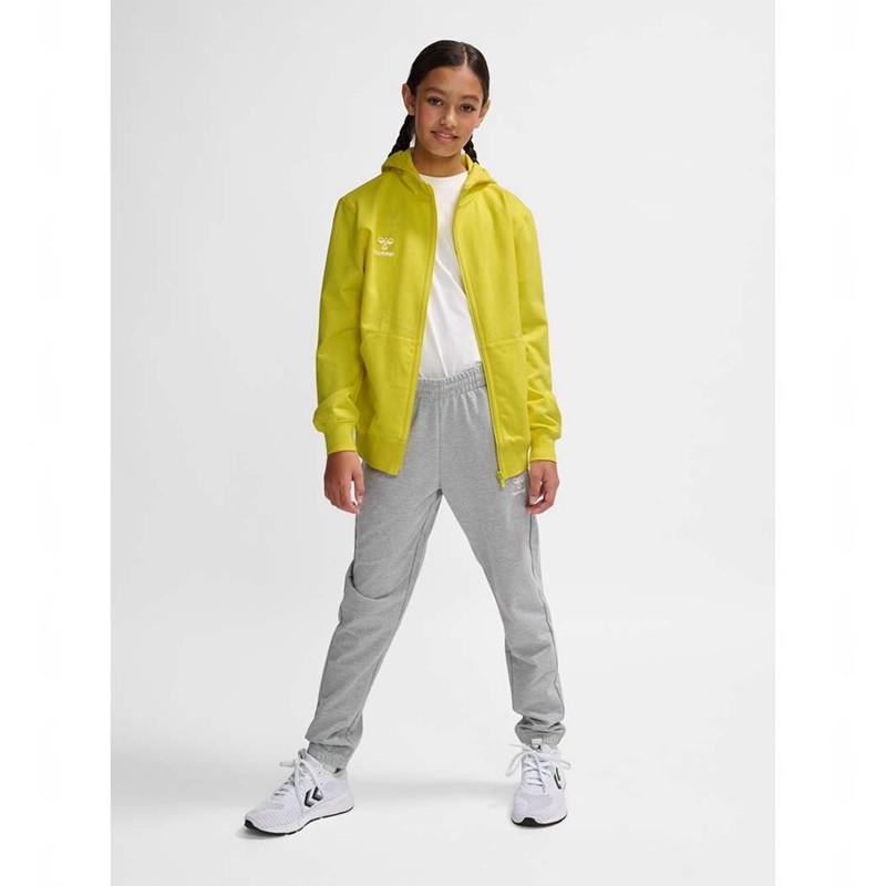 Hummel Go 2.0 Zip Dječje Majica s Kapuljačom Žute | 452840-141