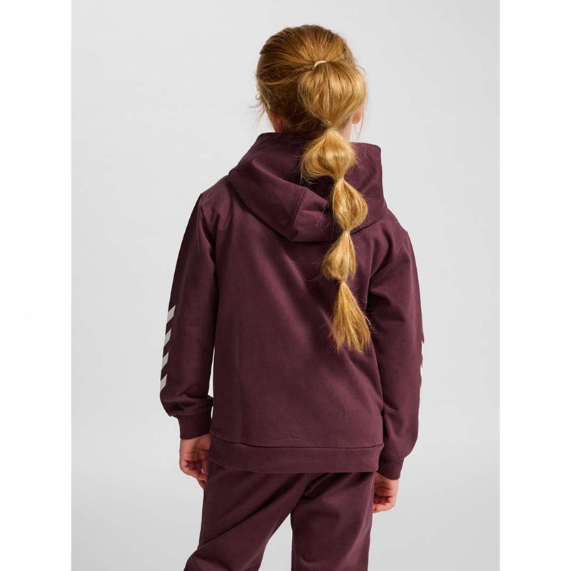 Hummel Jr Logo Dječje Majica s Kapuljačom Bordo | 759227-359