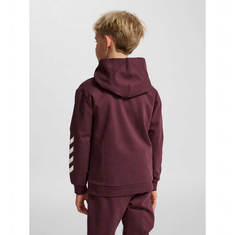 Hummel Jr Logo Dječje Majica s Kapuljačom Bordo | 759227-359