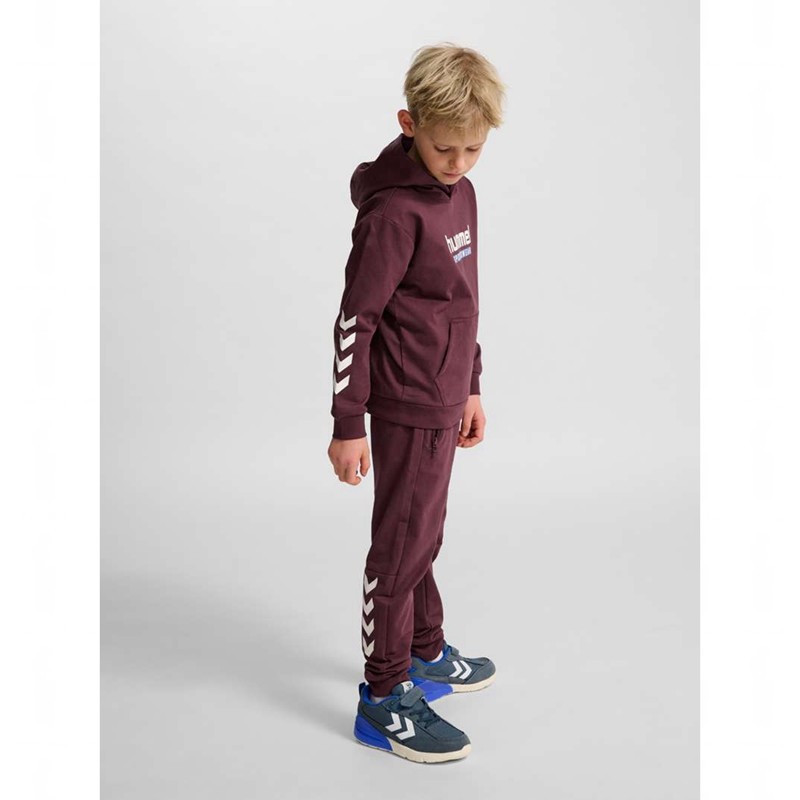 Hummel Jr Logo Dječje Majica s Kapuljačom Bordo | 759227-359