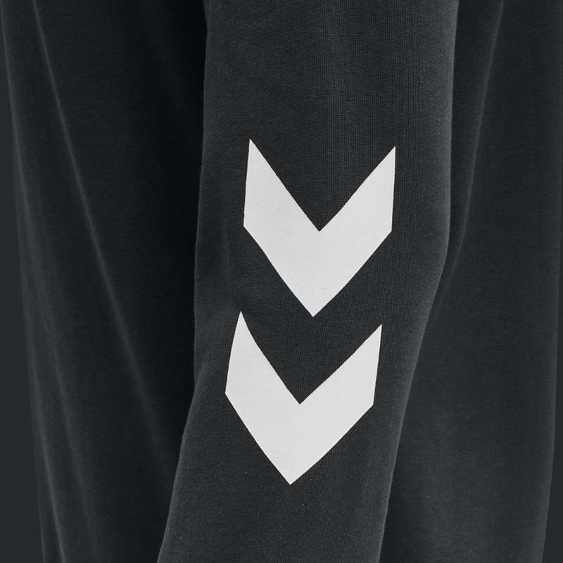 Hummel Legacy Zip Plus Muške Majica s Kapuljačom Crne | 478094-938