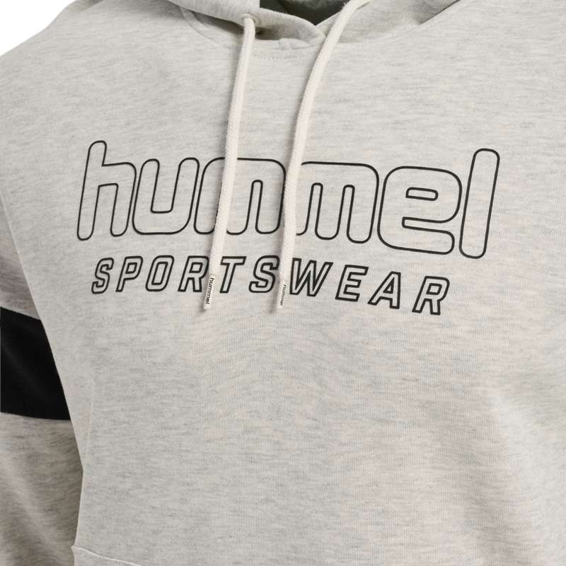 Hummel Lgc Bryce Muške Majica s Kapuljačom Sive | 727378-596