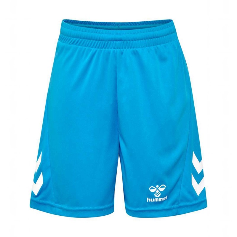 Hummel Logo Dječje Sets Plave | 856310-818