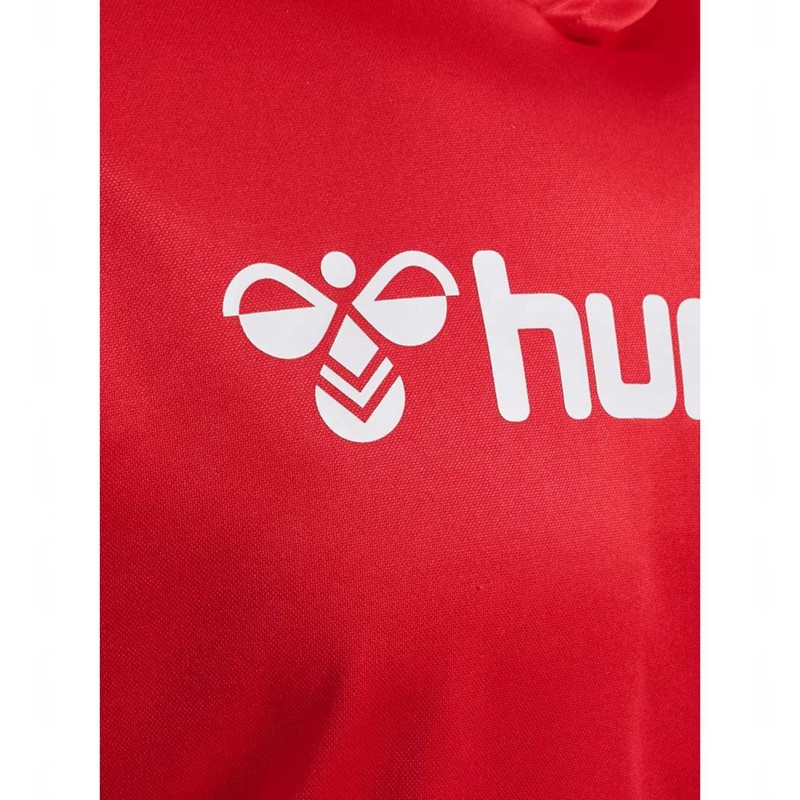 Hummel Logo Muške Majica s Kapuljačom Crvene | 714928-565