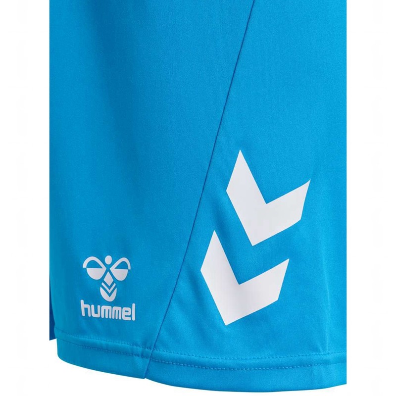 Hummel Logo Muške Sets Plave | 335003-043