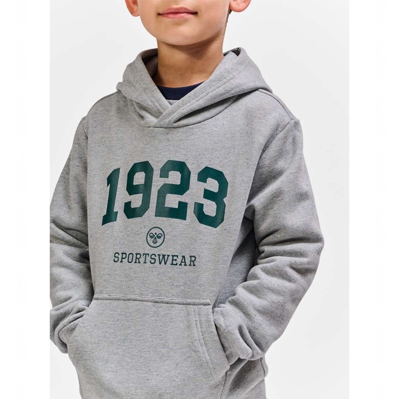 Hummel Nipps Dječje Majica s Kapuljačom Sive | 748617-625