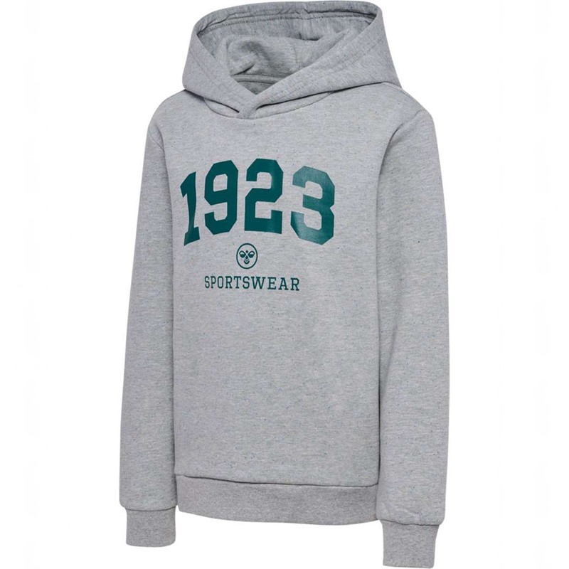 Hummel Nipps Dječje Majica s Kapuljačom Sive | 748617-625