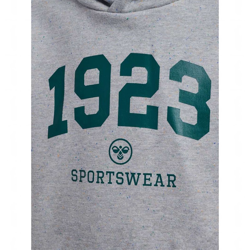 Hummel Nipps Dječje Majica s Kapuljačom Sive | 748617-625