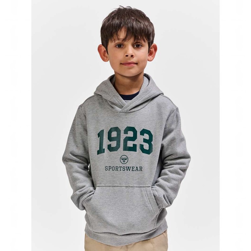 Hummel Nipps Dječje Majica s Kapuljačom Sive | 748617-625